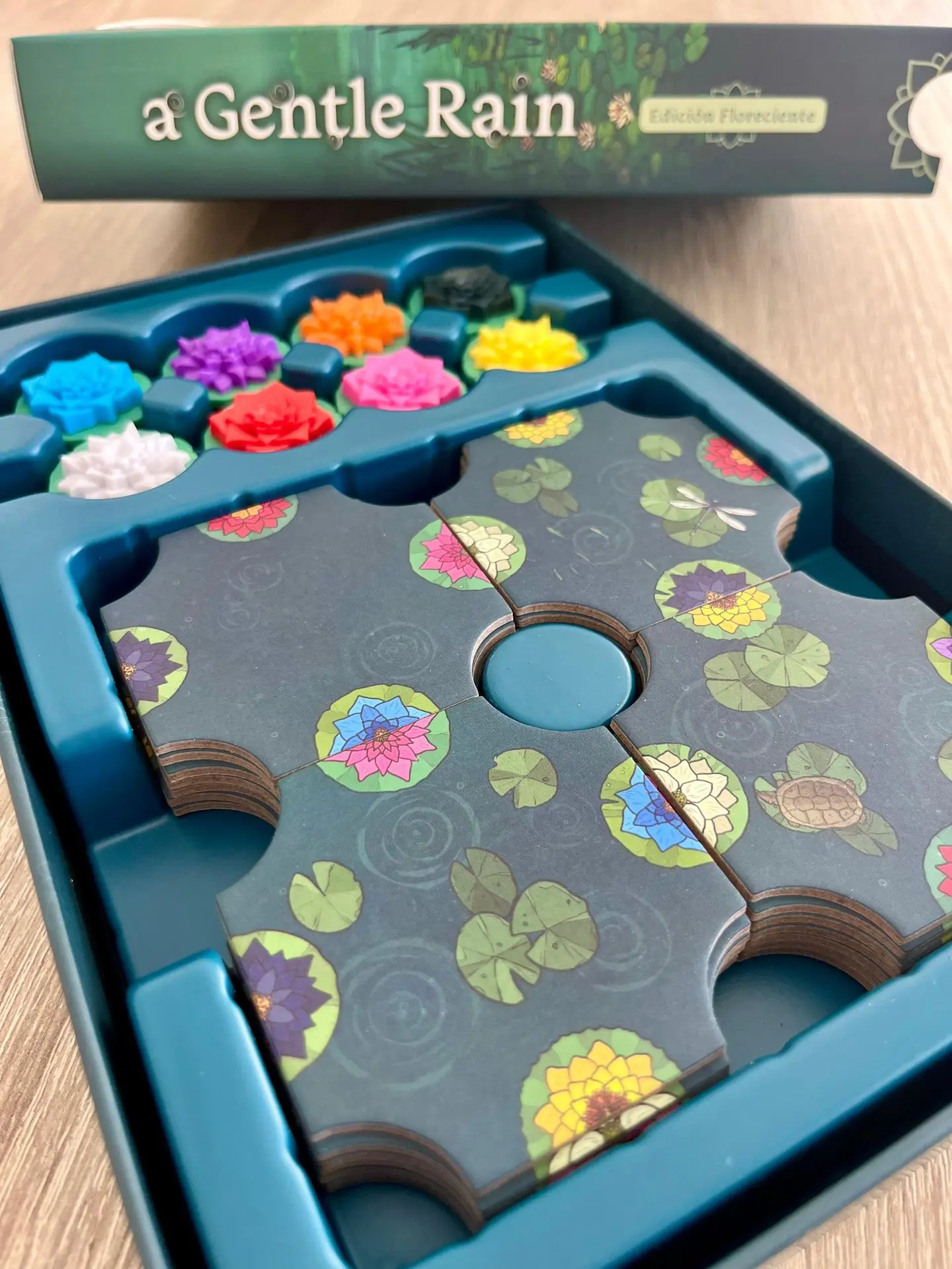 A Gentle Rain ES (6).webp